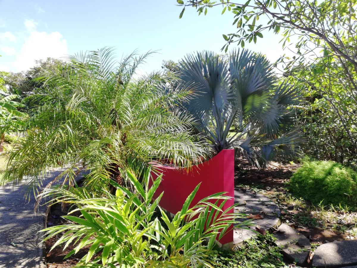 Punta Duarte Garden Inn Los Duarte Екстериор снимка